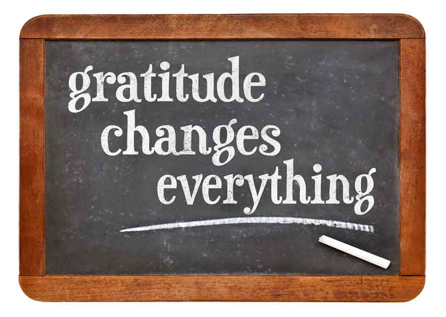 Thanksgiving The Zen of Gratitude