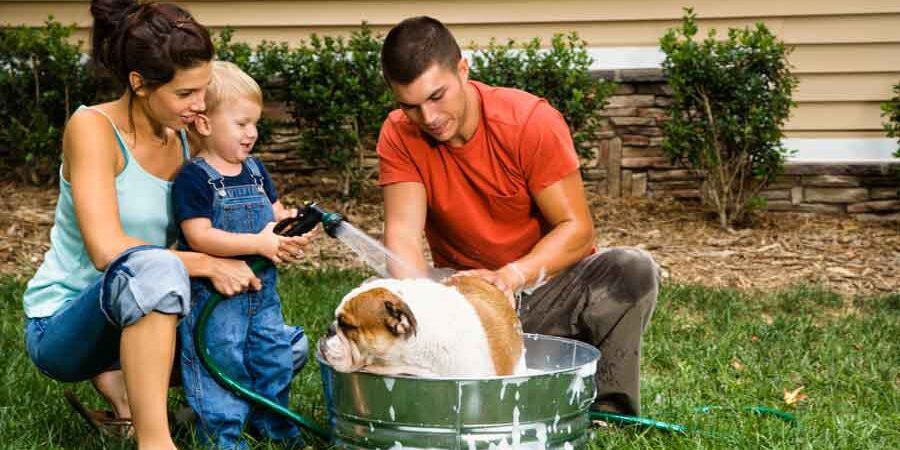 House Buying Tips Man-woman-and-child-bathing-a-dog