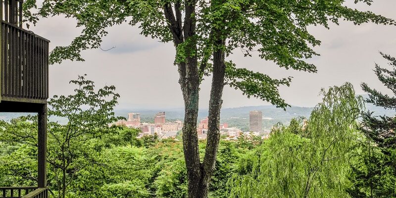 sell a lifestyle How Do You Sell A Lifestyle in Asheville?