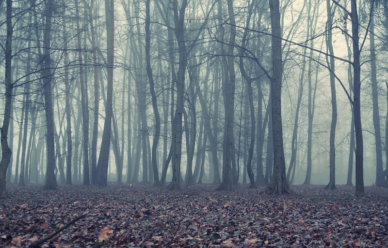 Avoid These Home Buying Horror Stories