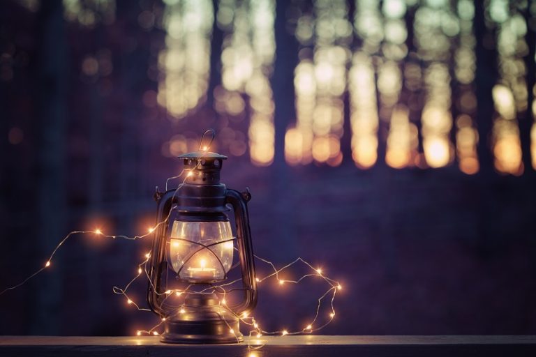 Celebrate the End of Fall and Dive Into the Holiday Season in Asheville