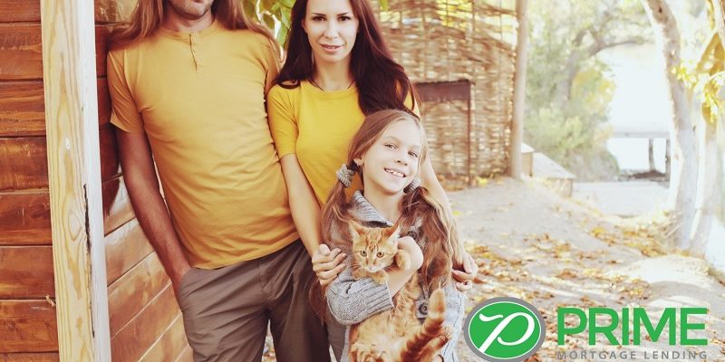 Living in Asheville With Pets Money, Safety, and Entertainment Living in Asheville With Pets: Money, Safety, and Entertainment