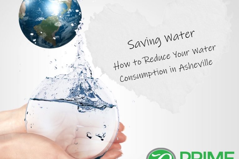 Celebrate Spring by Saving Water