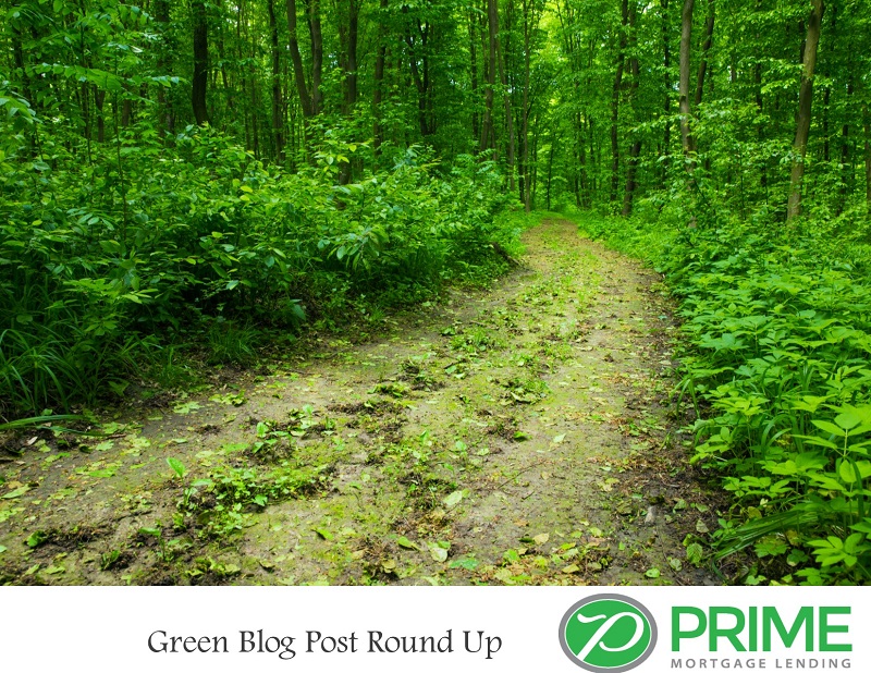 Green Blog Post Round Up