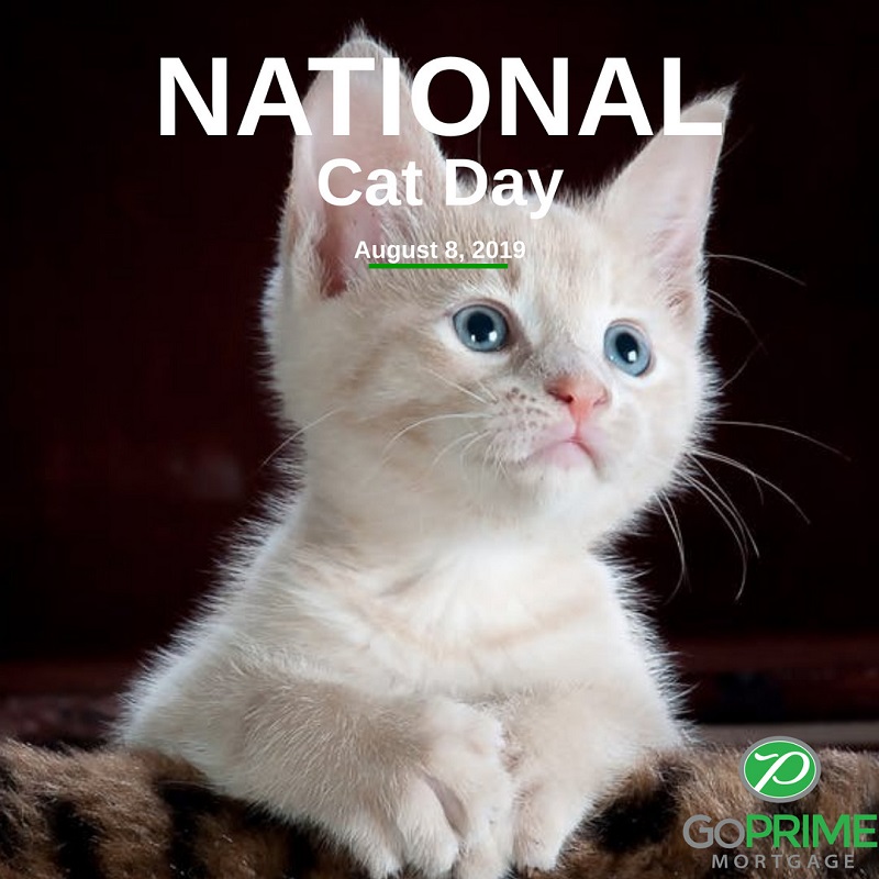 Celebrate International Cat Day - GoPrime Mortgage, Inc.