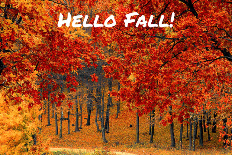 fall around asheville