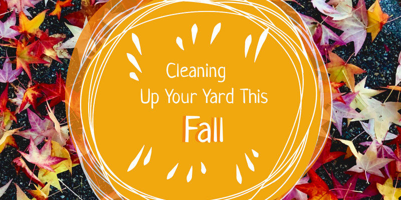 Cleaning Up Your Yard This Fall