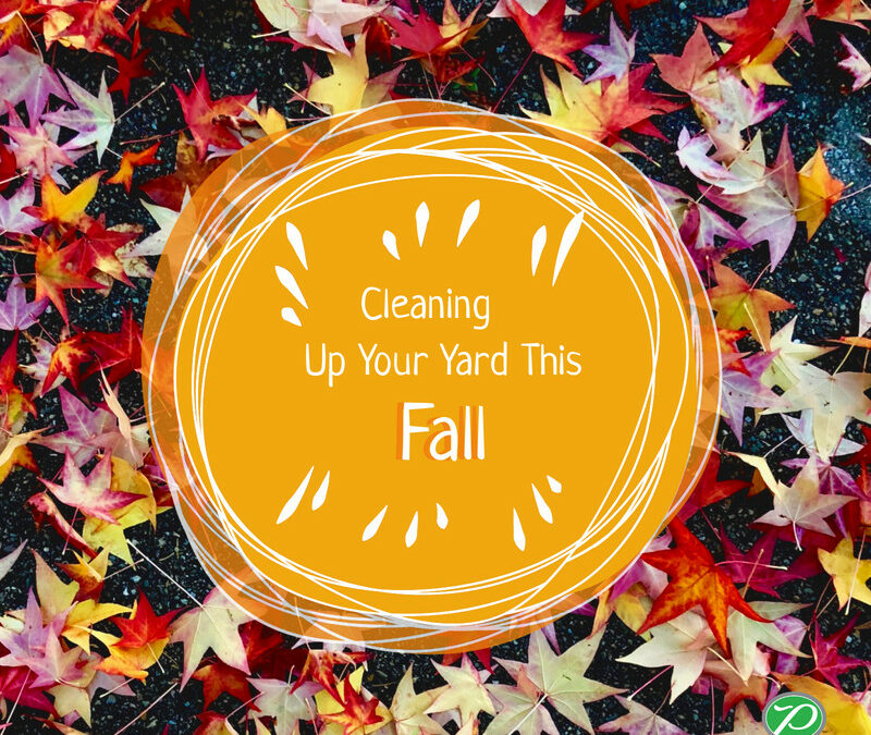 Cleaning Up Your Yard This Fall