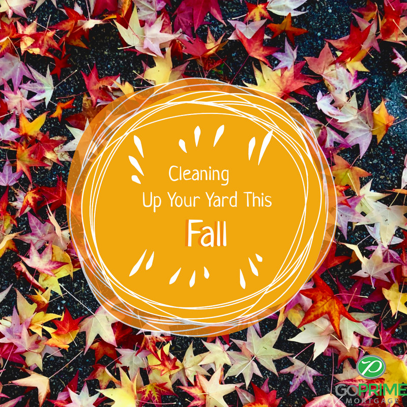 Cleaning Up Your Yard This Fall Cleaning Up Your Yard This Fall