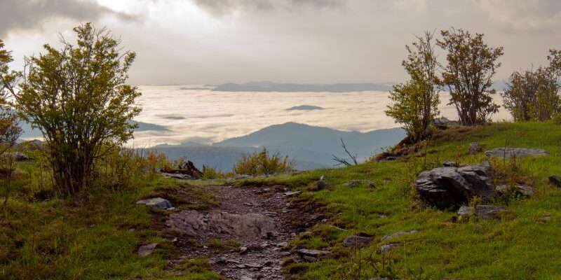 Goprime west asheville - save the mountains