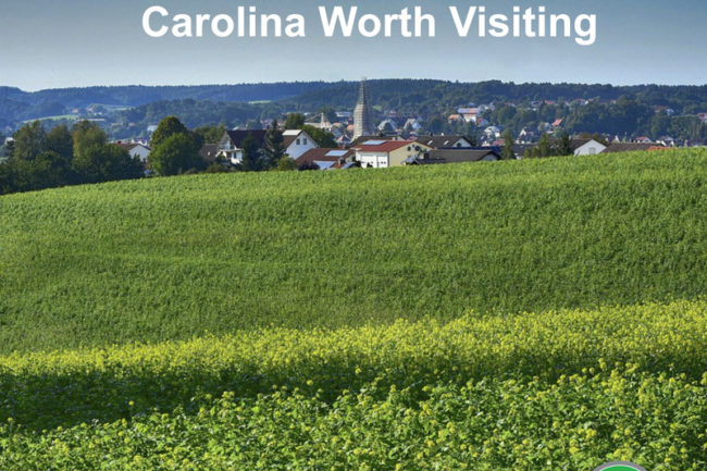 Small Towns in Western North Carolina Worth Visiting