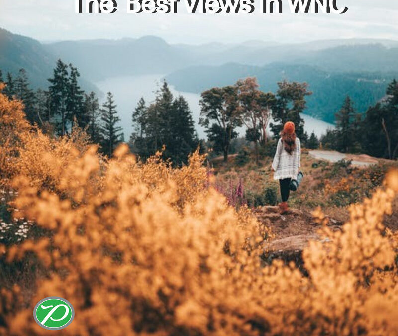The Best Views in WNC