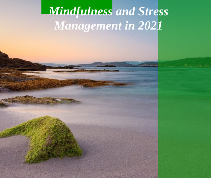 Mindfulness and Stress Management in 2021