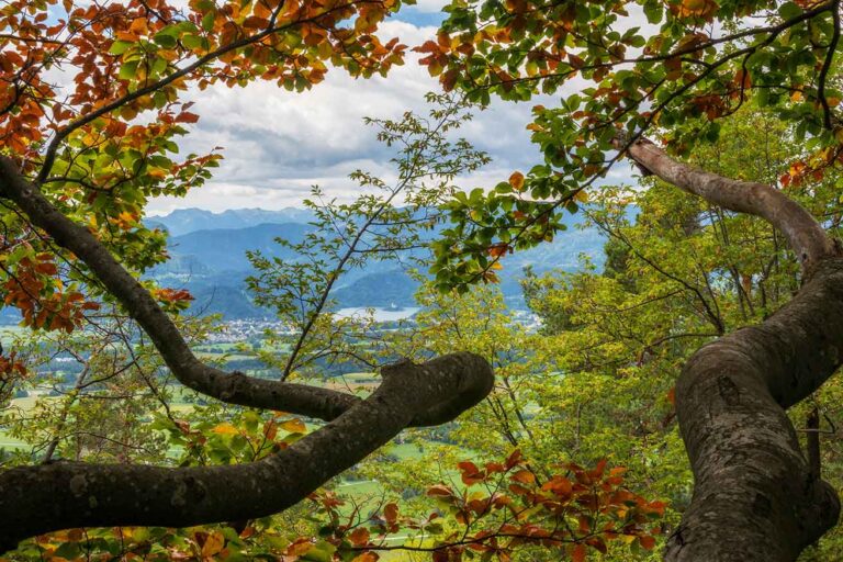 Fun-Things-to-Do-This-Fall-in-WNC