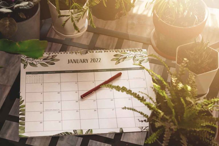 Gratitude-and-Looking-Forward-to-2022