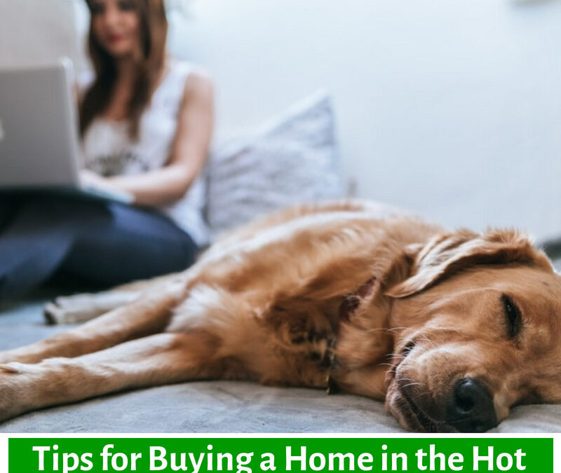 Tips for Buying a Home in the Hot North Carolina Market
