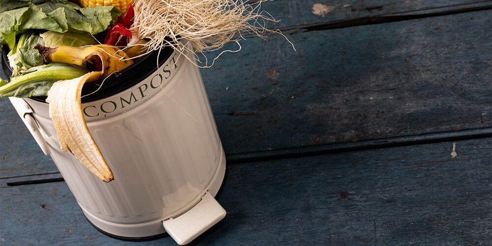 Conservation Week – Lowering Your Carbon Footprint One Step at a Time