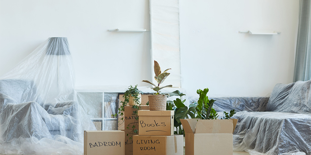 Asheville Mortgage Company - Boxes with things in apartment