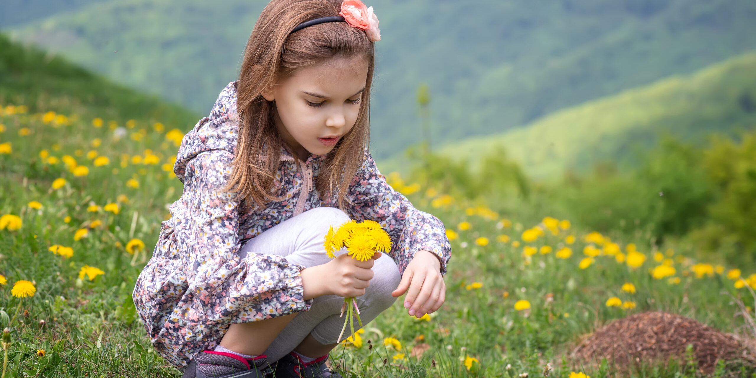 spring equinox, mortgage lender west Ashville nc spring equinox, mortgage lender west Ashville nc