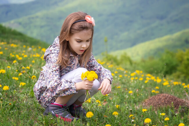 spring equinox, mortgage lender west Ashville nc